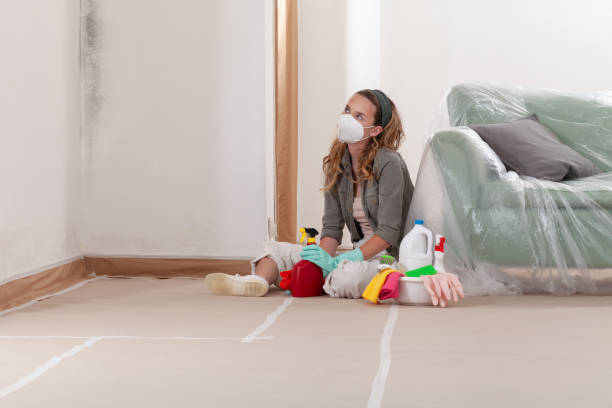Reliable Commercial Mold Remediation contractor in Elkwood, VA by WQB Mold Removal